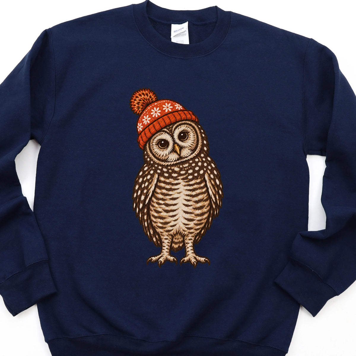 Owl with Winter Hat Sweatshirt