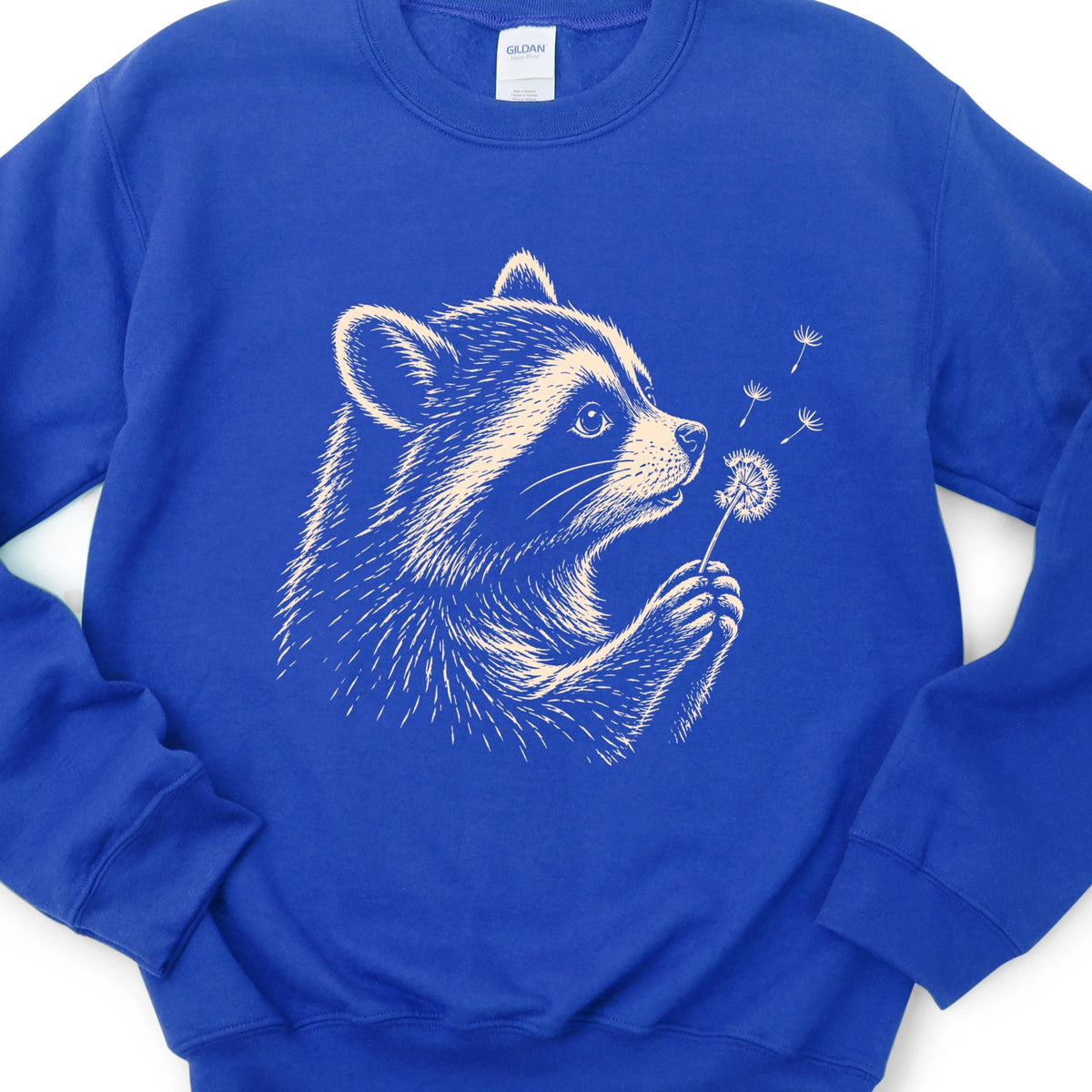 Racoon Wishes Sweatshirt