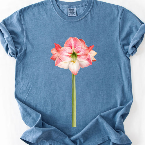 Amaryllis T-Shirt